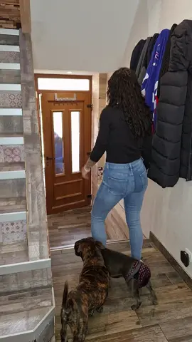 Il n'a pas d'autre choix aujourd'hui que de danser avec moi 😁😉🎉 #the_bks_family #wife #husband #husbandwife #couple #couplegoals #married #marriedlife #staffy #dog #dogsoftiktok #trend #dance #pourtoi #foryoupage #foryou #fyp #fypシ 
