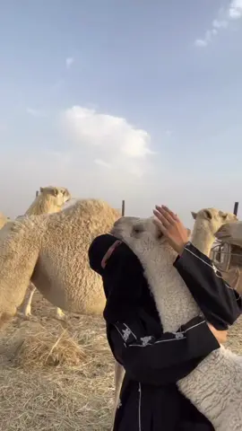 نوير وسميتها 🤍 #الخرج #fy #foryoupage 