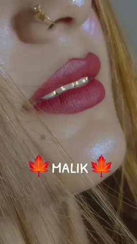 @🍁 شاہینوں کا شہر سرگودھا 🍁 