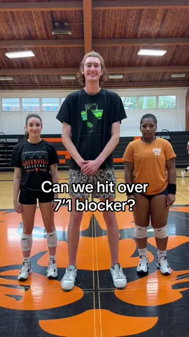 Can @GU Volleyball hit on a 7’1 blocker #volleyball #tall 