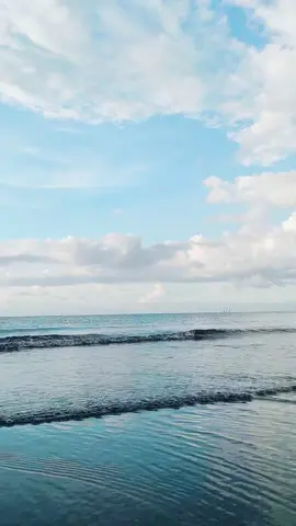 potarit pantai cemara besuki, Situbondo.  #pantaicemara #pantaibesuki #besuki #wisatabesuki #wisatasitubondo #cinematicpantai #pyfツ #wisatajatim  #shotonandroid  #pyppppppppppppp #capcut 