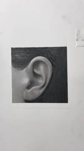 Desenhar orelha é um excelente exercício de paciência e concentração.  #arte #desenho #realismo #realisticdrawing #drawing #tatoo #terapia #hobby #art 