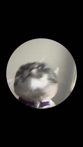 😂😂😂😂😂😂