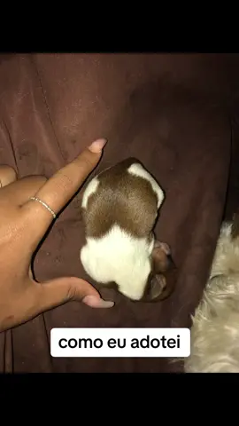 o que importa é que eu te amo filha 😭🤣🥰