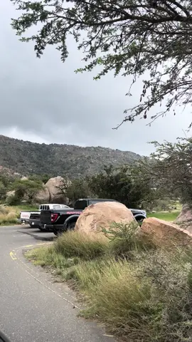 #المسقي #اكسبلورexplore #لايك 