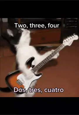 El no lo sabe pero se la dedique.  #marlboronights #lonelygod  #gatos #cat 