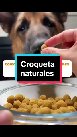 Croquetas naturales para tu mascota 🐶🐱 con ingredientes aptos para ellos 👩🏻‍🍳 sigueme y comparte para mas recetas perrunas #pasteleria #recetasparamascotas #perros #gatos 