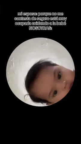 PEDROPEDROPEDROOOOO 🦝 #pedro #pedropedropedropedro #mapache #racoons #tiktok #bebes 