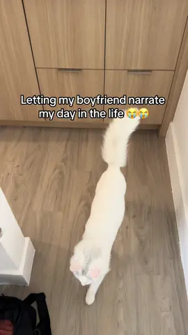 He was so nervous to do this too 😭 #dayinmylife #justagirl #Vlog #boyfriendnarrates #couplestiktok 