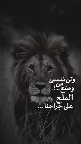 #عباراتكم_الفخمه📿📌 #خربشات_شاب_مغترب_عن_المجتمع #تصاميم 