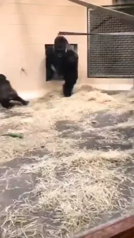 ‼️ Today's the LAST DAY of SM City Trece Martires' #SM3DaySale ‼️‼️ Check out BIG DISCOUNTS today here at SM City Trece Martires! 🛍️🛒 #SM3DaySale #EverythingsHereAtSM 👉 smsupermalls.com #foryou #fypシ #trending #meme #transition #marketing 