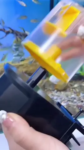 Automatic Feeder Aquarium Smart Timing Auto Fish Feeder Timer Food Feeding 12/24 Hours Timer (READY STOCK) ##auto##autofeeder##aqaurium##aquatic##aquariumfilter##fishfood##makananikan##allfish##pellet##fishpellet##turtle##fish ##hot##hotsellingitem🔥🔥##hotselling