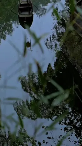 Cái gì giữ không được thì buông #🙏🙏🙏 #nammoadidaphat #phatphapnhiemmau #phatgiao #tutam #tinhtam #cuocsong 