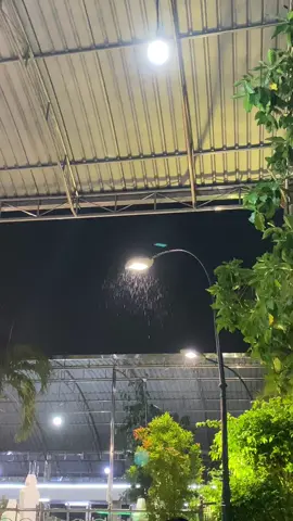 Pada akhirnya, kita semua tahu bahwa yang menyembuhkan luka bukanlah waktu tapi penerimaan diri. Juga, yang membuat kita tumbuh bukanlah sembunyi, tapi berani melewati.                 #fyp #sunanampel #xyzbca #hujan #foryou #trend 