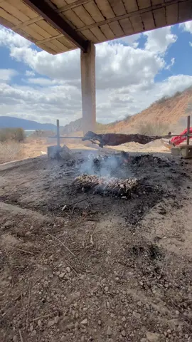 #SantJordi2024 #españa🇪🇸 #marocaine🇲🇦 #marocaine🇲🇦 #marocaine🇲🇦 #oujdaعالم_التيك_توك #oujda_48_city #adiilovers_❤ 