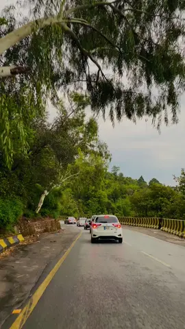 kis kis ko murree ke asi beauty pasand hai🌳🌳🍂🌴🥰😍❤️#foryou #foryou #foryoupage #foryoupageofficiall #beautifull #weather #viralvideo #views #murree #rawalpindi #fypシ゚ #fypシ゚ #standwithkashmir #zeeshanzaman200 