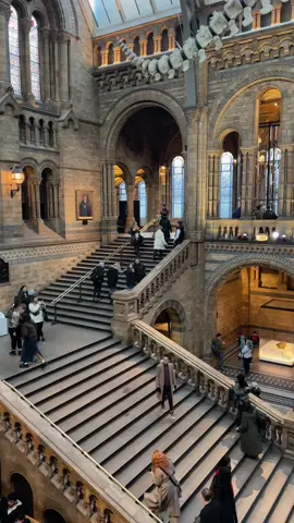 📍 natural history museum, london #londonlife #naturalhistorymuseum #museum #architecture #thingstodoinlondon #london 