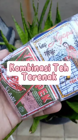 dijamin enak banget 😍 #tehsolo #tehgopek #tehsintren #tehnyapu #tehracikansolo 