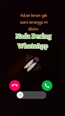Kalian berani gak ganti nada dering WhatsApp sama suara serangga ini #suara #tonggeret #cicadas #nadadering #whatsapp #whatsappstatus #soundviral #yandialviansyah #nadaviral #serunyaberbagi #viraltiktok #serangga 