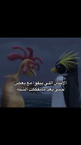 يب