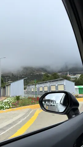 #تصويري #الباحة #غابه_رغدان #ضباب #اكسبلور #العقيق 