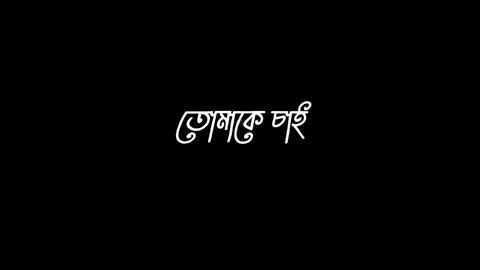 তোমাকে চাই || Tanveer Evan #tishan75 #blackscreenlyrics #lyrics #banglasong 