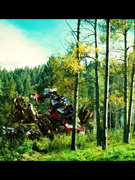 🗣️: Weak ,puny , waste of metal, junkyard crap😆 #fypageシ #transformersmovie #megatron #optimusprime #Bayverse 