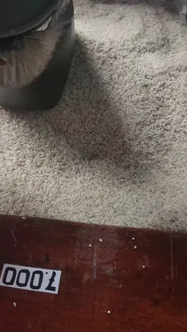 #TokoBerasGiriWijaya Eceran beras yang paling murah 7.000 per liter.