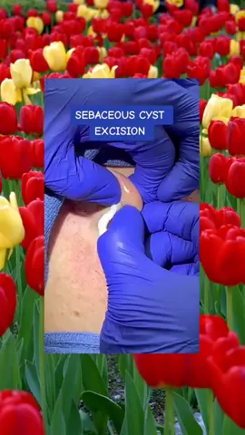 #satisfying #satisfyingvideo #cleantok #clean #cleaning
