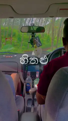හිතළු | වෙන කෙනෙක්ගෙ හිතළුවක් තව කෙනෙක්ට තේරුමක් නැති උනාට, තමන්ට තමන්ගෙ හිතළුවෙන් වෙනම Universe එකක් උනත් හදාගන්න පුලුවන්!! ට්‍රැක් පන්නගන්නත් පුලුවන්!! #dullive
