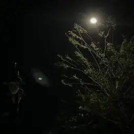 𝑻𝒉𝒐̛̀𝒊 𝒈𝒊𝒂𝒏 𝒔𝒆̃ 𝒏𝒐́𝒊 𝒍𝒆̂𝒏 𝒕𝒂̂́𝒕 𝒄𝒂̉...🥀#fpy #lyrics #tamtrang 