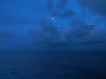 calm #bluehour #ocean #sea #dream #core #aesthetic #night #videography #cinematic #cinematography #real #night #dark #fy #fyp #nature 
