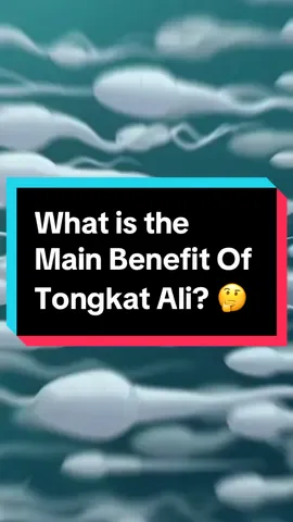 Did you know this about Tongkat Ali? 🤯  It is packed with great benefits for men, from boosting testosterone to enhancing libido and improving sperm motility🏋️💪  but it is not just for men and women can also benefit from this amazing natural  herb too 🌿  #tongkatali #reproduction #libido #fertility #testosteronebooster #testosterone #holistichealth #foryou  