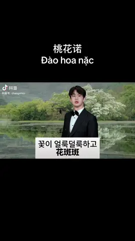 🤣🤣🤣放鞭炮的韩语班桃花诺 Chưa Tết mà ẽm đốt pháo ghê quá #桃花诺 #daohoanac 