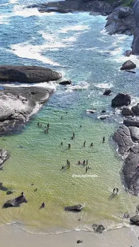 Um Paraíso chamado: Itacoatiara. Prainha e Praião, com o mar aberto. Um lugar cheio de natureza.  🤩🎬☀️🌊 Um belíssimo domingo. ❤️ Praia de Itacoatiara - Niterói - RJ. #niteroirj #niteroi 