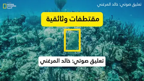 نص تعليق وثائقي بصوتي مقتطف من #المجلة_الوثائقية   من @National Geographic  #وثائقية #وثائقيات #ليبيا #طرابلس #تعليق_صوتي_فويس_اوفر #فويس_اوفر #أخبار #flypシ  @خالد المرغني 🇱🇾  @خالد المرغني 🇱🇾  @خالد المرغني 🇱🇾 