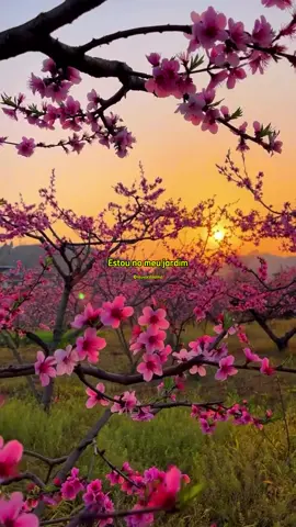 #musicagospel #gospel #louvor #viral #fycristao #fé #Deus #hino