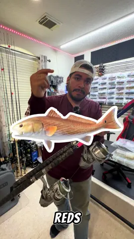 #pesca #fishing #angler #howto #fishtok #saltwaterfishing #bassfishing #dronefishing #houston 