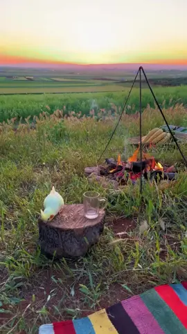 سروشت و جوانی و قورئان….. #kurdistan🇹🇯️ #ranya #quran #quranvideo 