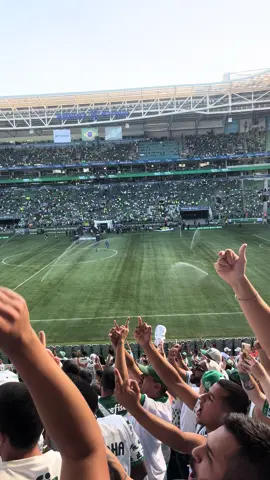 Palmeiras x flamengo (21/04/2024) #manchaverde #palmeiras #brasileirao 