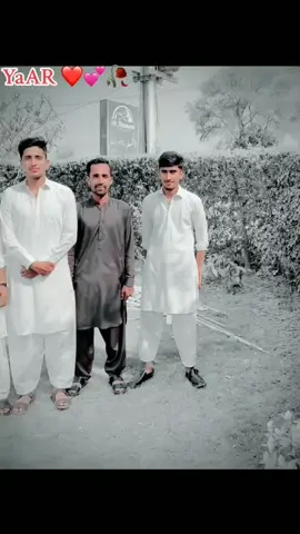 yaar 💞