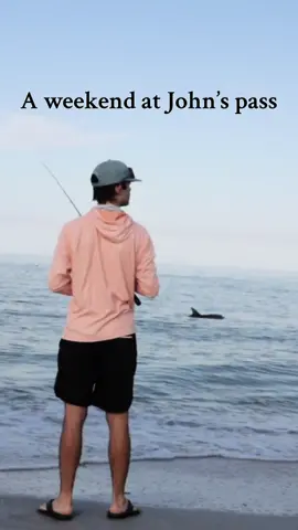 A weekend at Johns pass 🐬———————————————-#johnspass #maderiabeach #hubbardsmarina #dolphins #pompanofishing #jigfishing #beachfishing #morningvibes #goodmorning #fyp #fishingfyp #sightseeing #marinescience #sunrise #sunsets #floridathings #floridafishing #johnspassfl @Hubbard’s Marina @gliz 