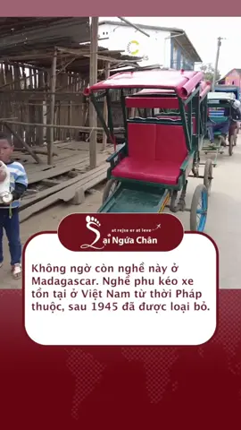 Nghề kéo xe như ở Việt Nam thời Pháp thuộc. #lainguachan #dulich #khampha #madagascar 