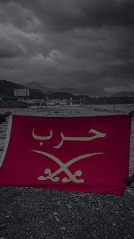 دامني فرد من أفراد القبيله  حرب ربعي عزوتي لحمي ودمي❤️#CapCu#CapCut 