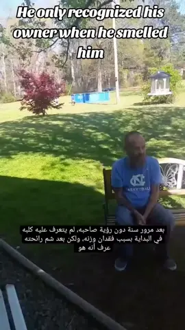 He only recognized his owner when he smelled him #dog #dogsoftiktok #usatiktok #viraltiktok #viralvideo 
