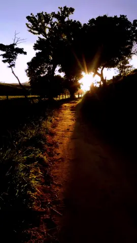 ME RINDO MAJESTAD Beto Zabaleta & Beto villa #losbetos #vallenatosdelayer #parati #paratiiiiiiiiiiiiiiiiiiiiiiiiiiiiiii #valleduparcolombia🇨🇴🇨🇴 