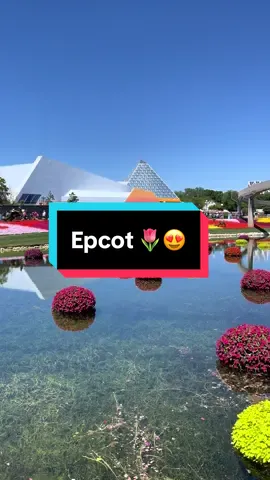What an amazing day to be at epcot 😍🌷 #epcot #themeparks #fyp #trips #disney 