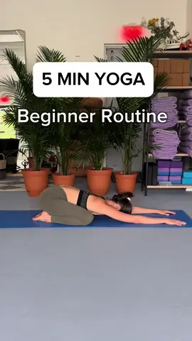 EVERYDAY YOGA for beginners! Add this sequences to your daily routine to feel so much better!!! #yoga #yogadaily #yogaroutine #yogapose #dailyvlog #daily #usa #practice #tiktok #viral 