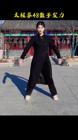 太极拳48散手发力！ #武术 #中华武术博大精深 #太极拳 #一见爱上传统文化  #用太极拳打开2024