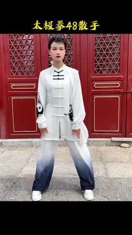 太极拳48散手，这才是太极拳的爆发！ #太极 #武术 #弘扬中华武术